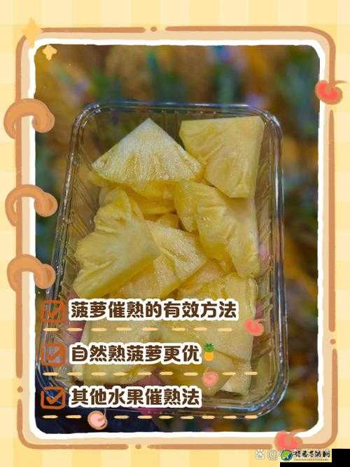 菠萝视频成人高潮片免费下载_如何在数字化浪潮中做出正确的选择？