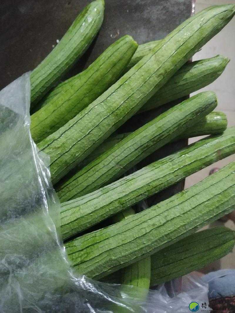 91香蕉丝瓜绿巨人秋葵番茄丨当餐桌上的蔬果遇见生命的力量