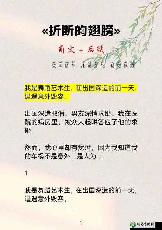 舞蹈生被调教成肉奴1～17：从磨砺到觉醒的成长之路