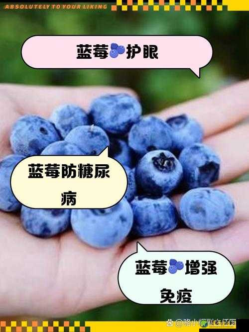 蓝莓视频♥成人pp♥：数字化时代的情感需求与生活平衡
